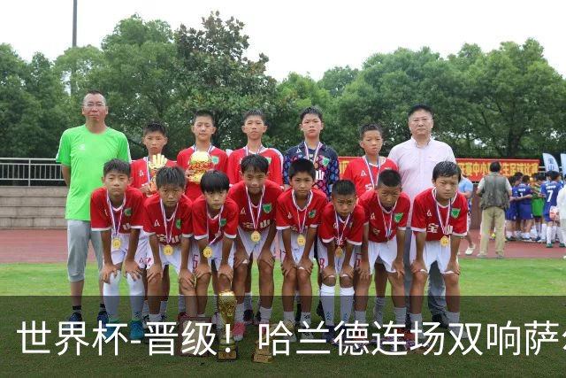世界杯-晋级！哈兰德连场双响萨尔2球 挪威3-2塞内加尔